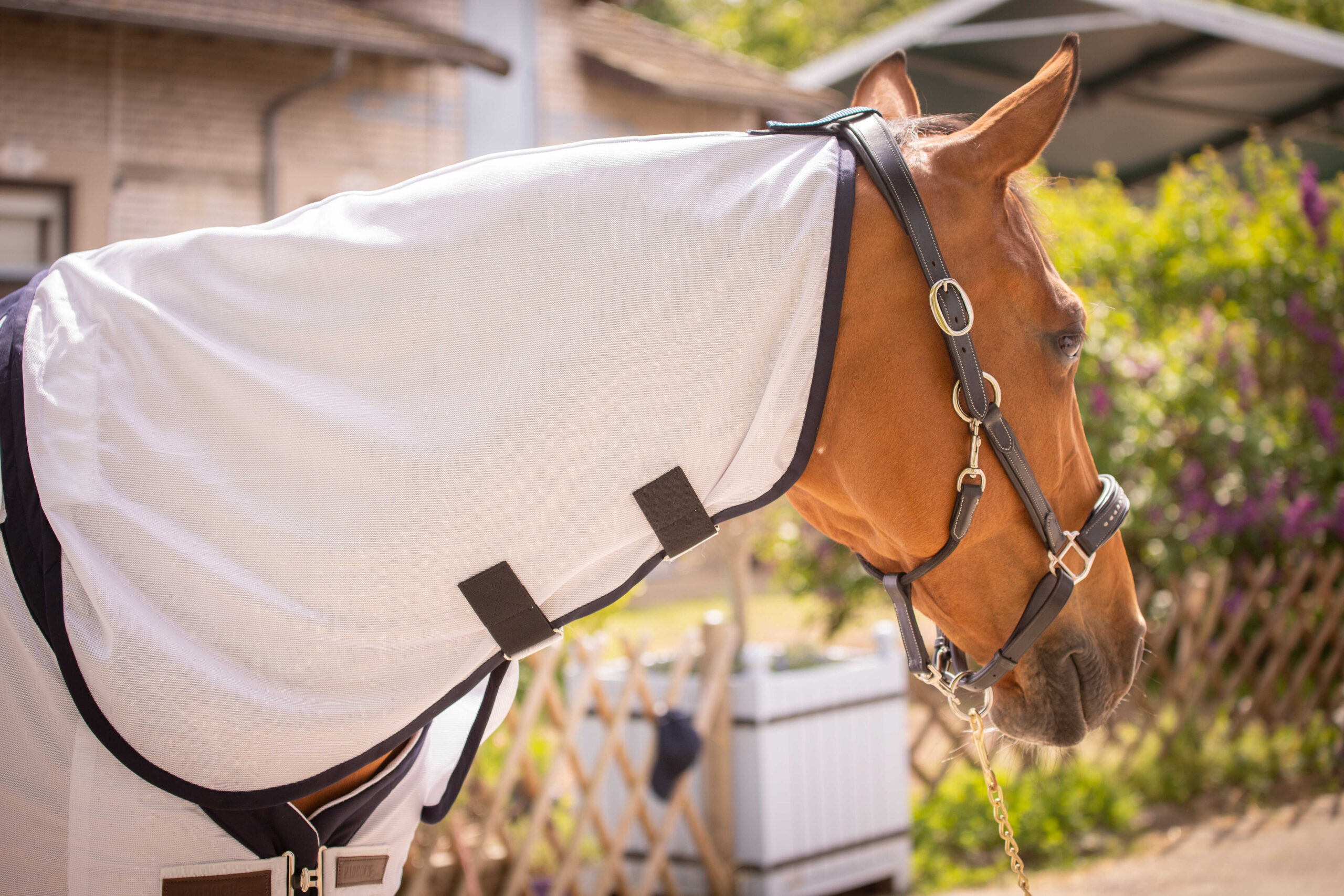 PADDOCK UV-mesh combo Decke - Image 11