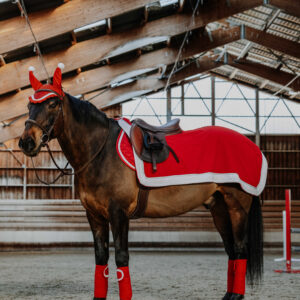 EQUITHÈME Exercise Rug - Xmas