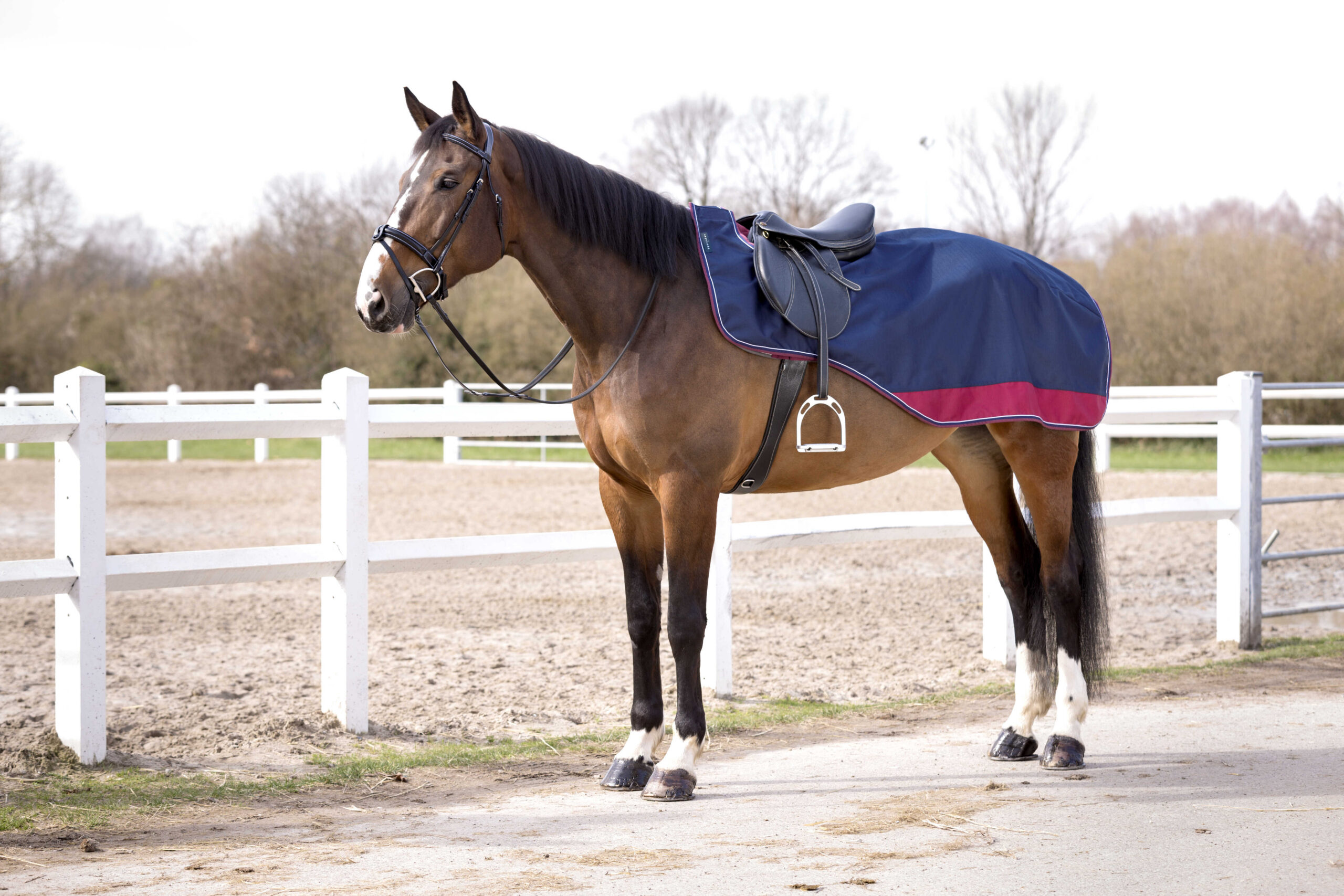 EQUITHÈME Nierendecke - TYREX Aisance 1200D - Image 5