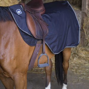 RIDING WORLD Waterproof Exercise Sheet, Lined with Polar Fleece
