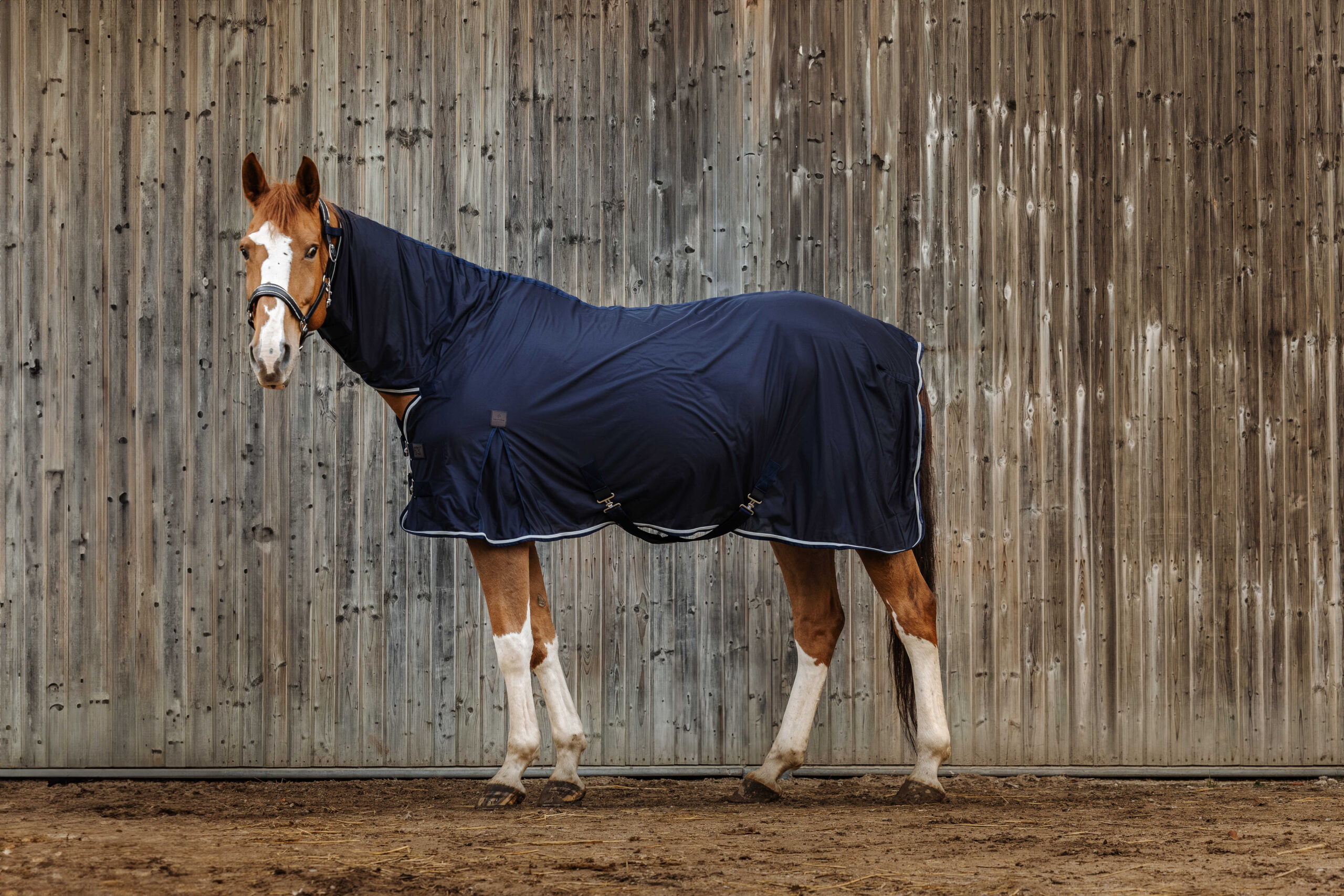 EQUITHÈME blanket - Micro-Mesh combination - Image 2