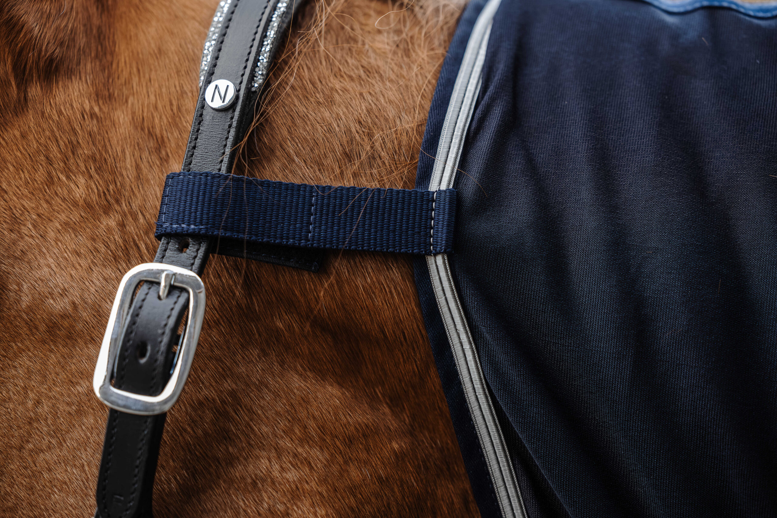 EQUITHÈME blanket - Micro-Mesh combination - Image 6