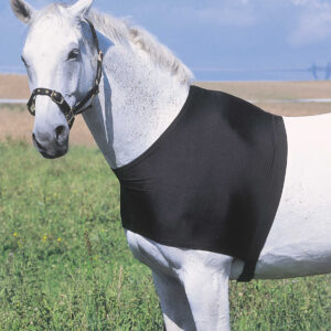 EQUITHÈME shoulder protection