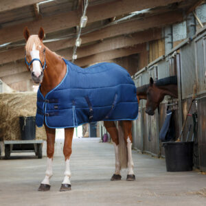 RIDING WORLD Stable rug 300 gr.