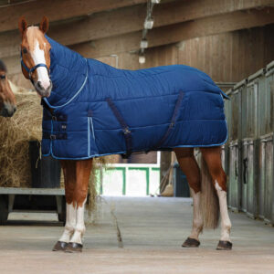 RIDING WORLD - Combo - stable rug 300 gr.