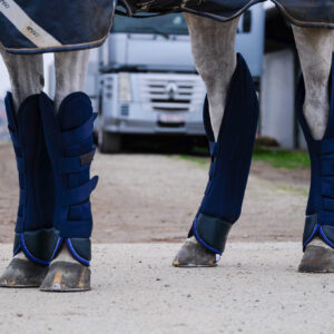 EQUITHÈME Transportgamaschen - Classic