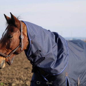 EQUITHÈME „Classic 600D" Halsteil