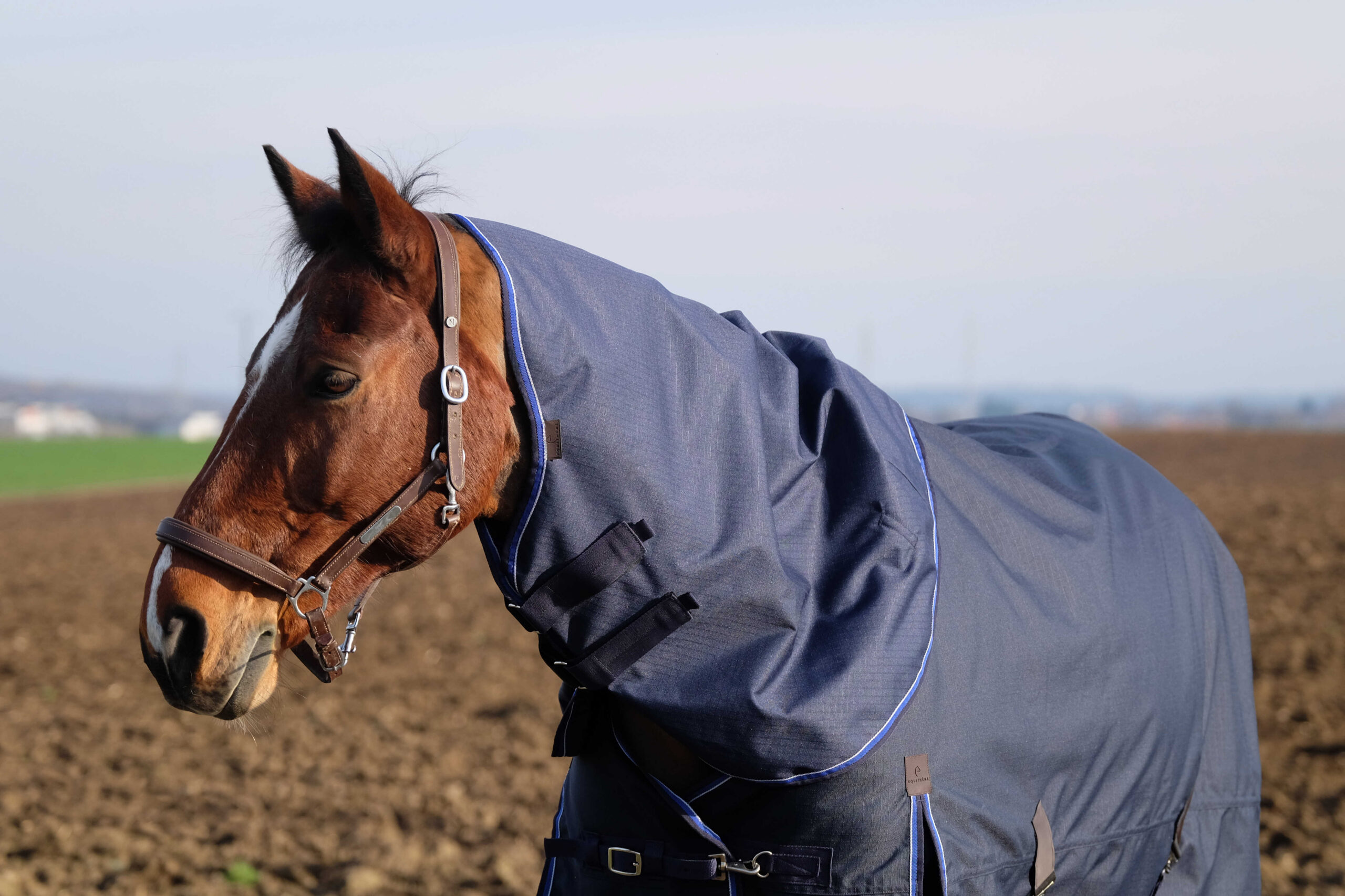 EQUITHÈME „Classic 600D" Halsteil