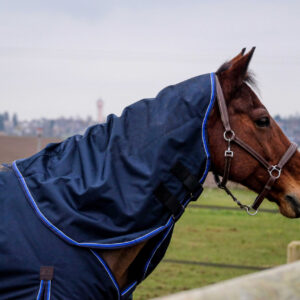 EQUITHÈME Neck Cover - Classic 1200D