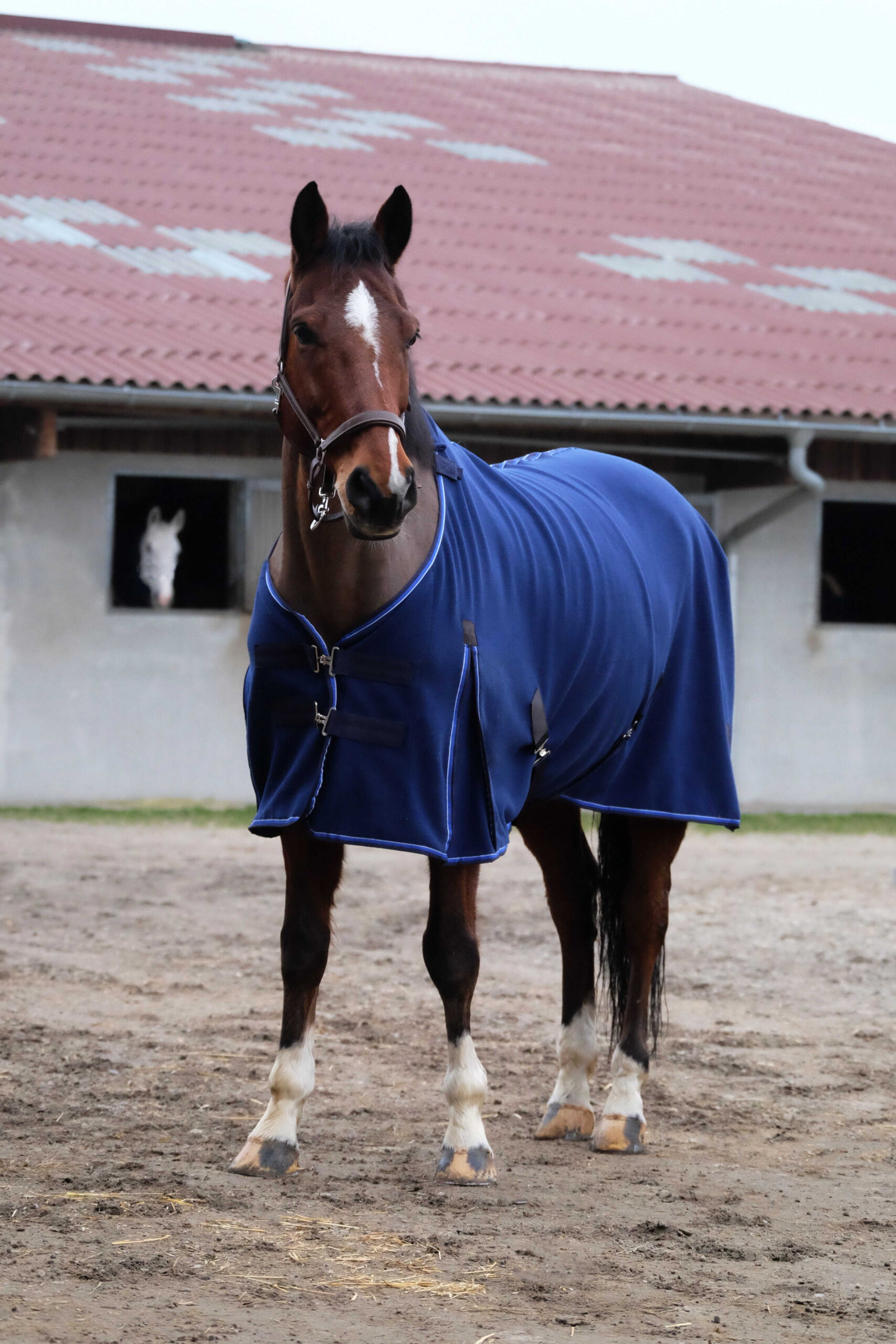 EQUITHÈME Classic - Polar Fleece Sheet