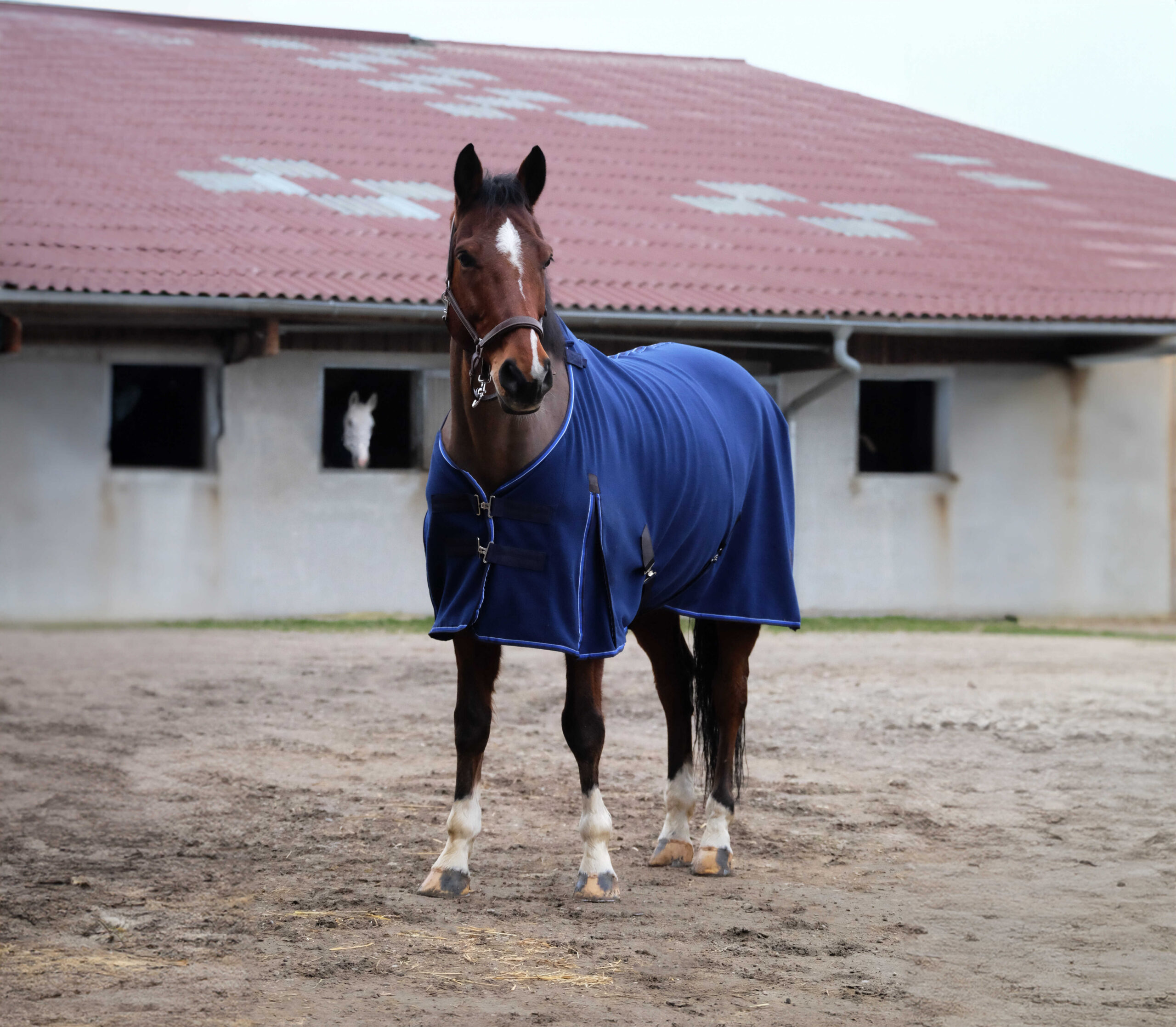 EQUITHÈME Classic - Polar Fleece Sheet - Image 2