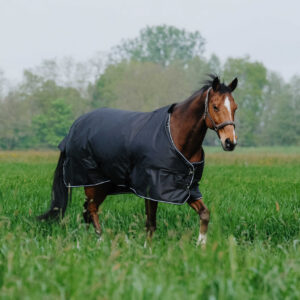 EQUITHÈME - TYREX 600D - Turnout Rug