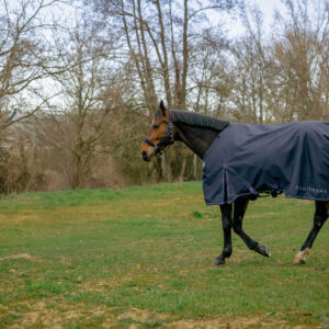 EQUITHÈME Turnout Rug – Anatomic Combo 1200D