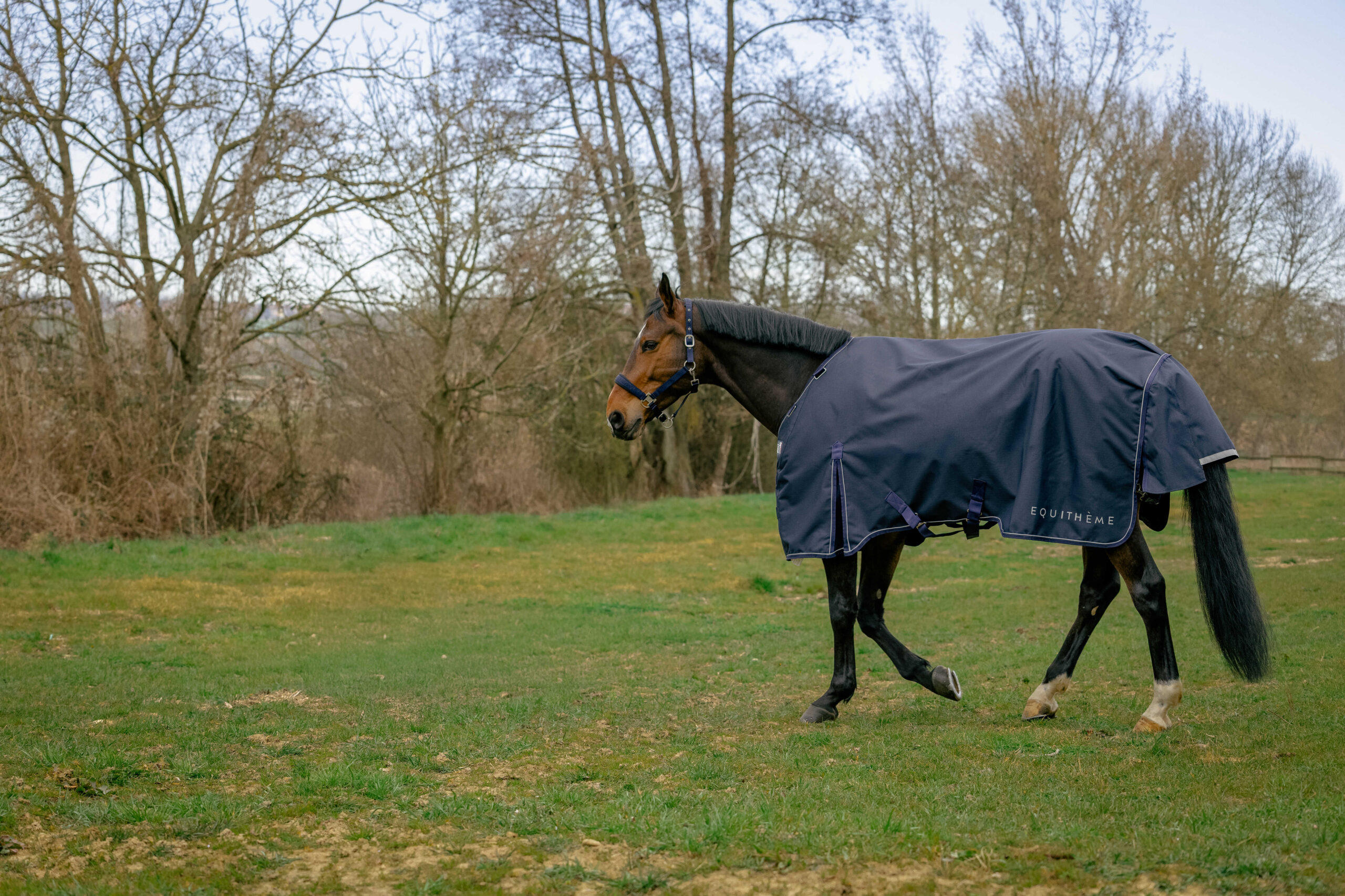 EQUITHÈME Turnout Rug – Anatomic Combo 1200D