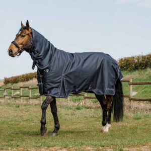EQUITHÈME Turnout Rug 0g – Anatomic Combo 1200D