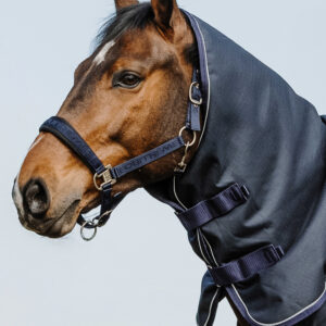 EQUITHÈME Neck Cover – Anatomic Aisance 1200D