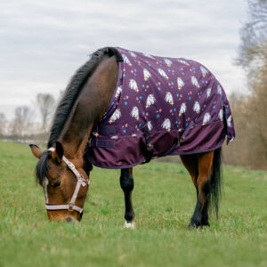 EQUITHÈME Turnout Pony Rug Licorne 600 STD 220g