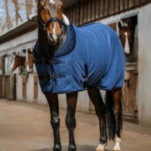 Chemise EQUITHÈME - Confortech