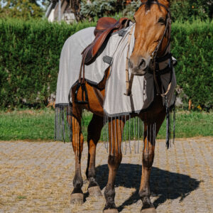 RIDING WORLD Anti-Fly Work Rug