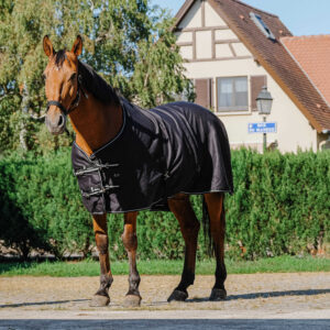 RIDING WORLD Stable Sheet SHINY