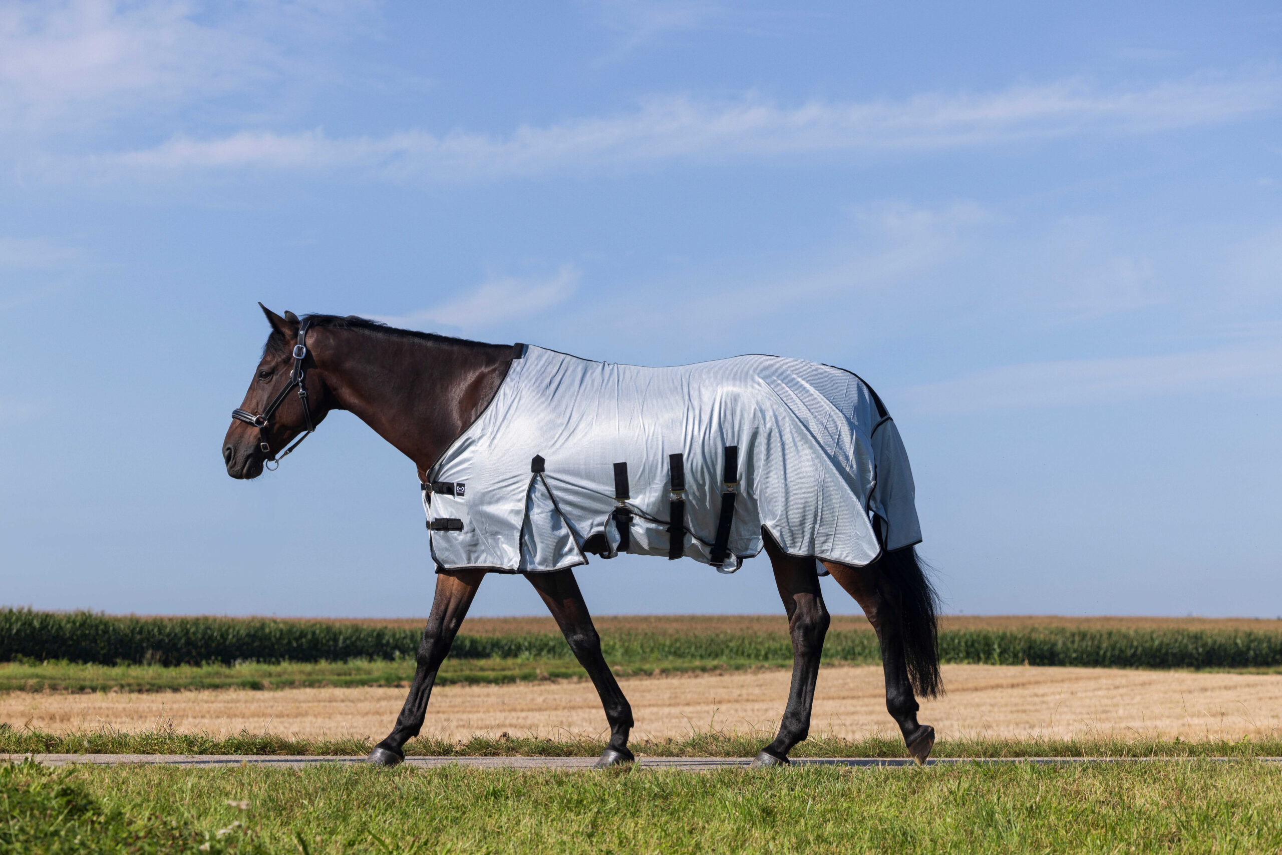 RIDING WORLD Decke – Belly Mesh