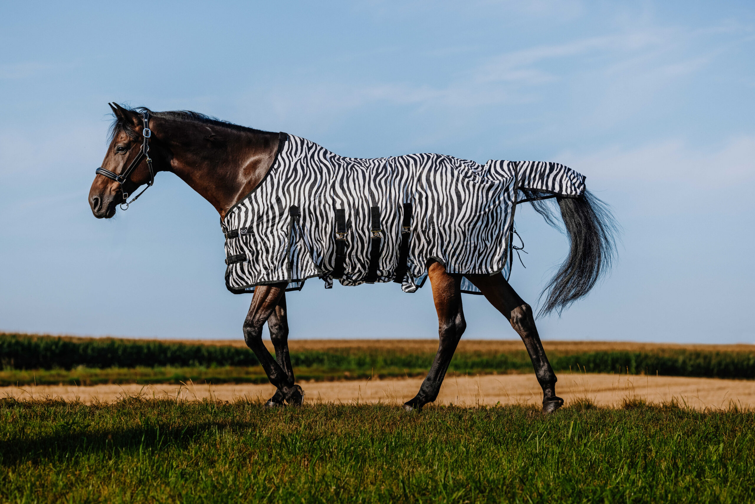 RIDING WORLD Decke – Belly Mesh - Image 9