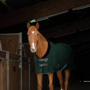 EQUITHÈME "Teddy" polar fleece blanket