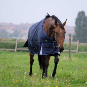 EQUITHEME - TYREX 1680D - Turnout Rug