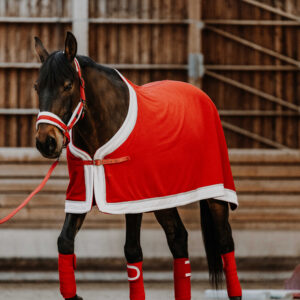 EQUITHÈME Fleece rug - Xmas