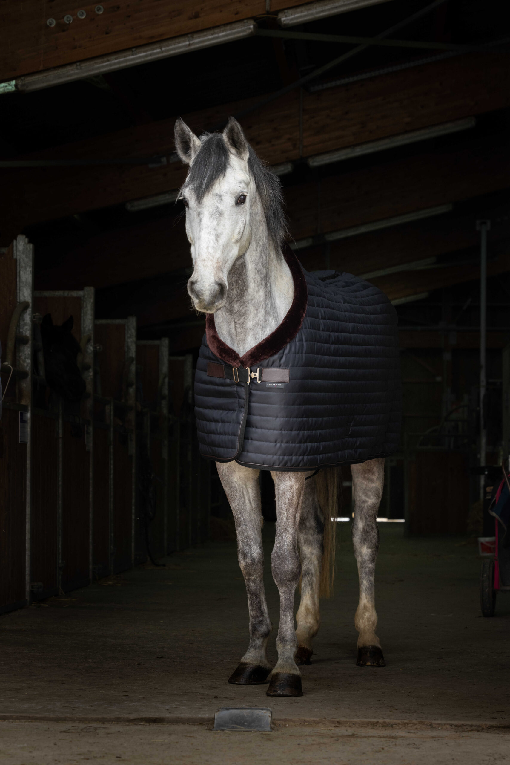 EQUITHÈME "Teddy" stable blanket, with synthetic lambskin lining - Image 2