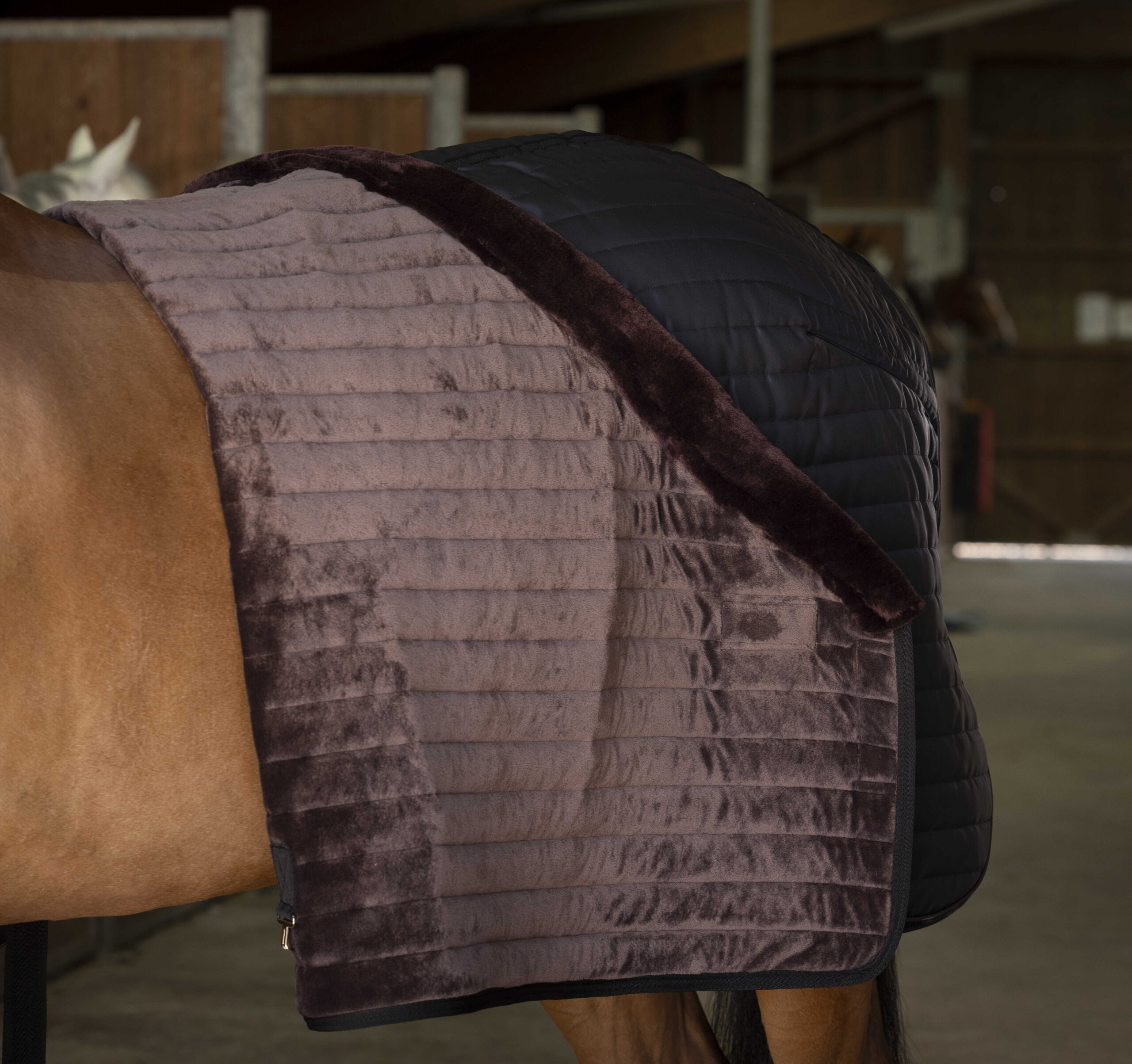 EQUITHÈME "Teddy" stable blanket, with synthetic lambskin lining - Image 3