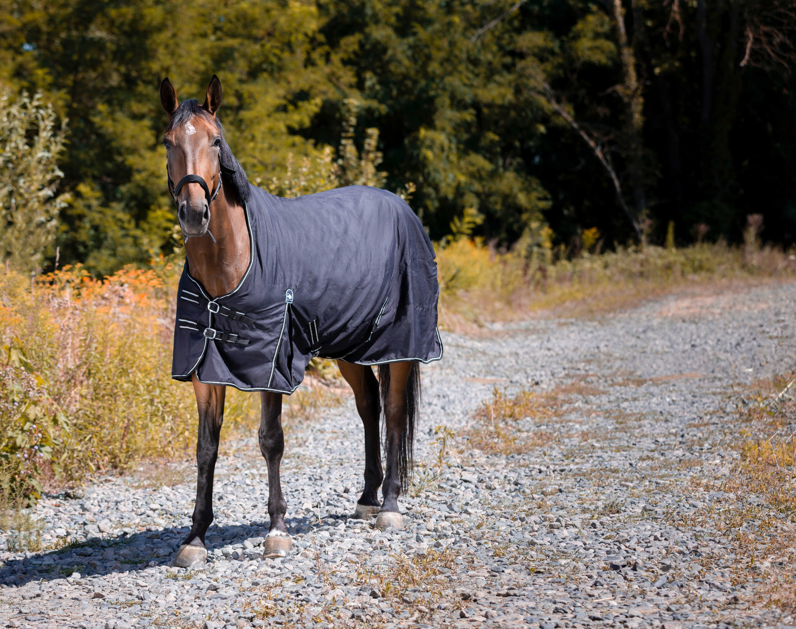 RIDING WORLD – Oxford – Waterproof Rug