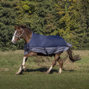 EQUITHÈME Blanket - TYREX 600D - Fleece lined