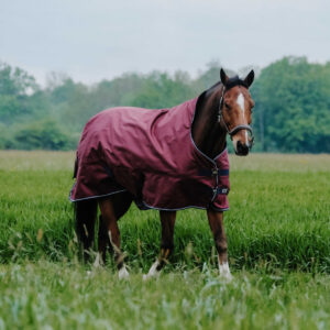 EQUITHÈME Decke - TYREX 1200D - High Neck