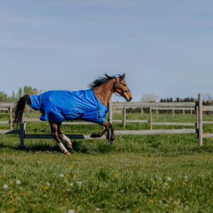 EQUITHÈME - TYREX Aisance 1200D - Turnout Rug