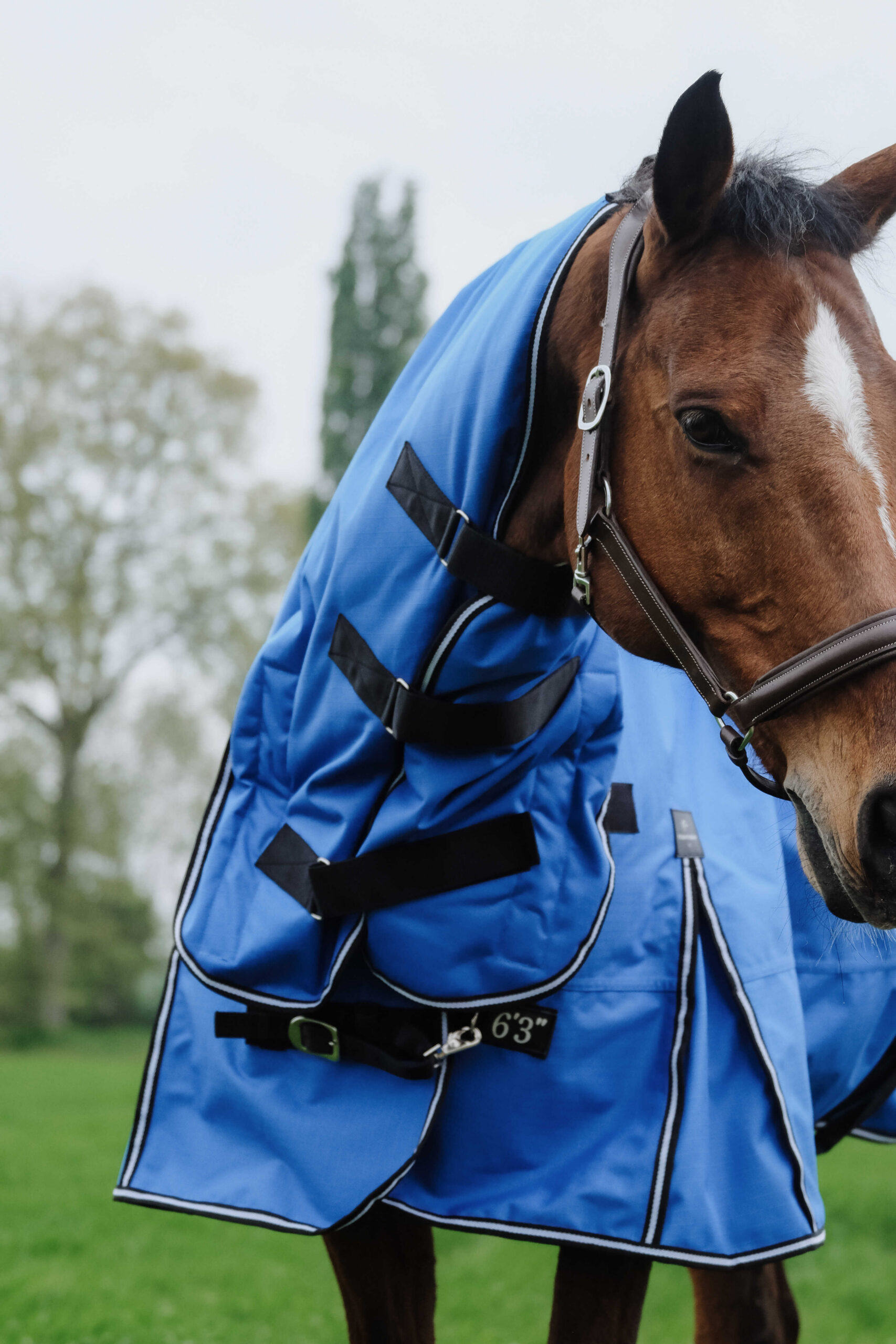 EQUITHÈME - TYREX Aisance 1200D - Combo Rug - Image 4