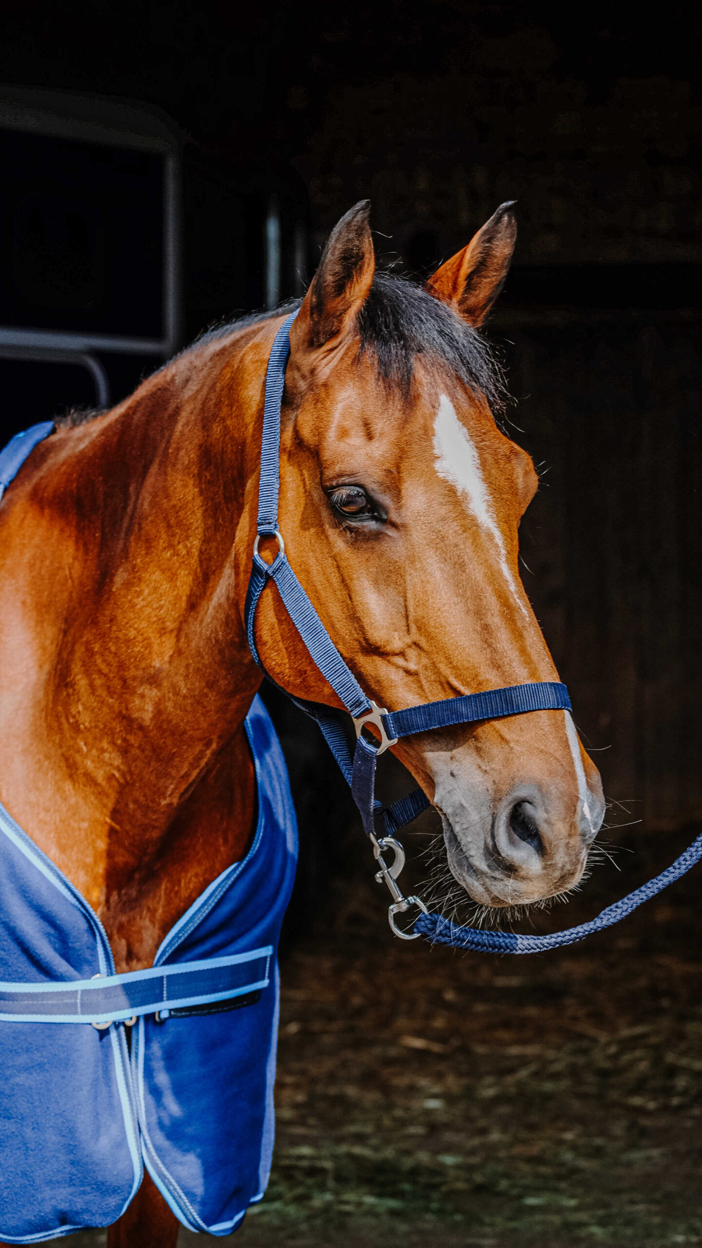 RIDING WORLD complete set - Image 8