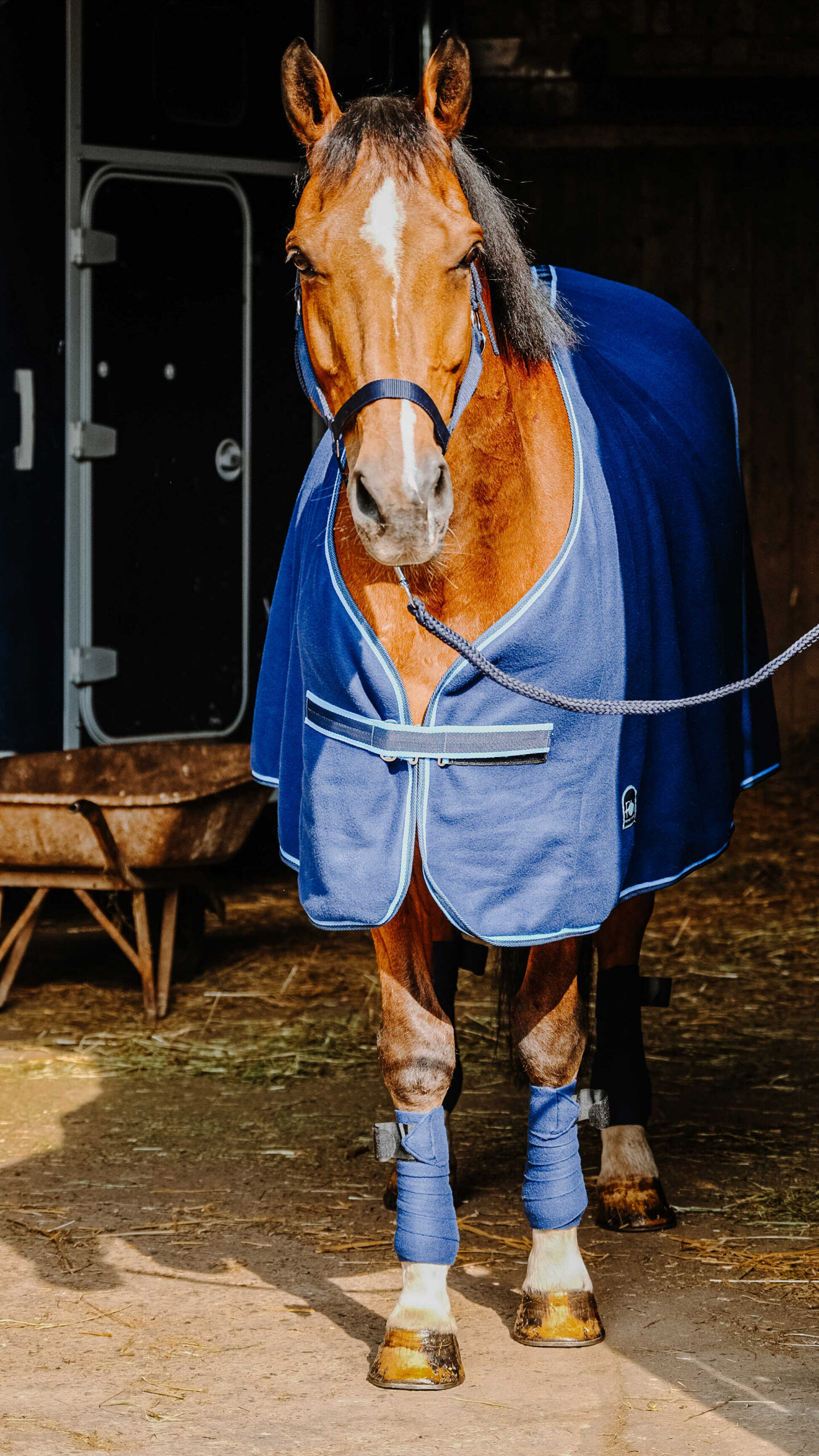 RIDING WORLD complete set - Image 9