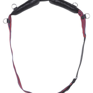 NORTON CLUB lungeing girth, fabric