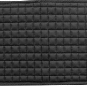 Longiergurt-Pad NORTON