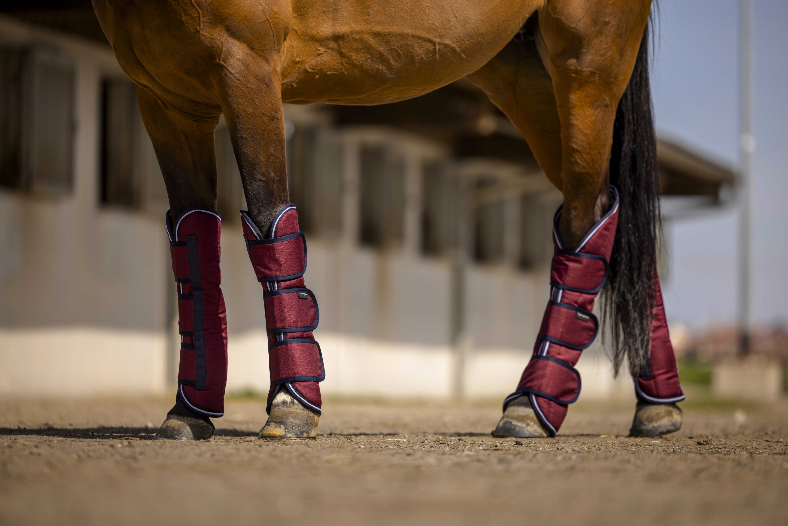 EQUITHÈME - TYREX Aisance 1200D - Transport Boots