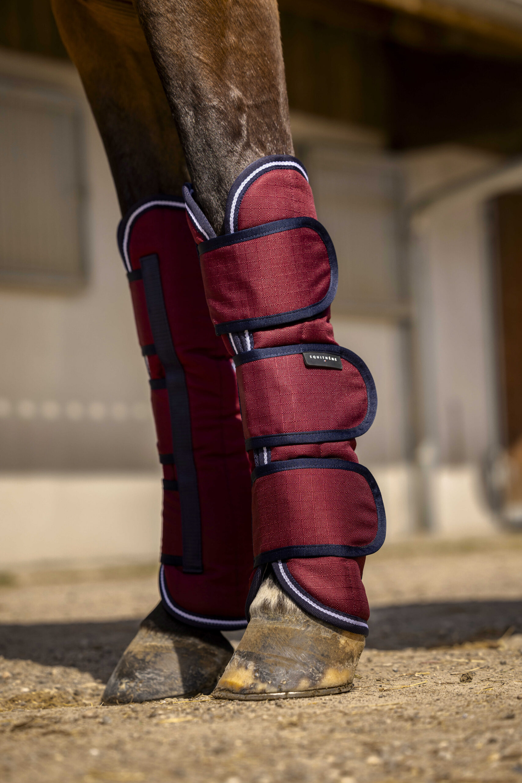 EQUITHÈME - TYREX Aisance 1200D - Transport Boots - Image 2