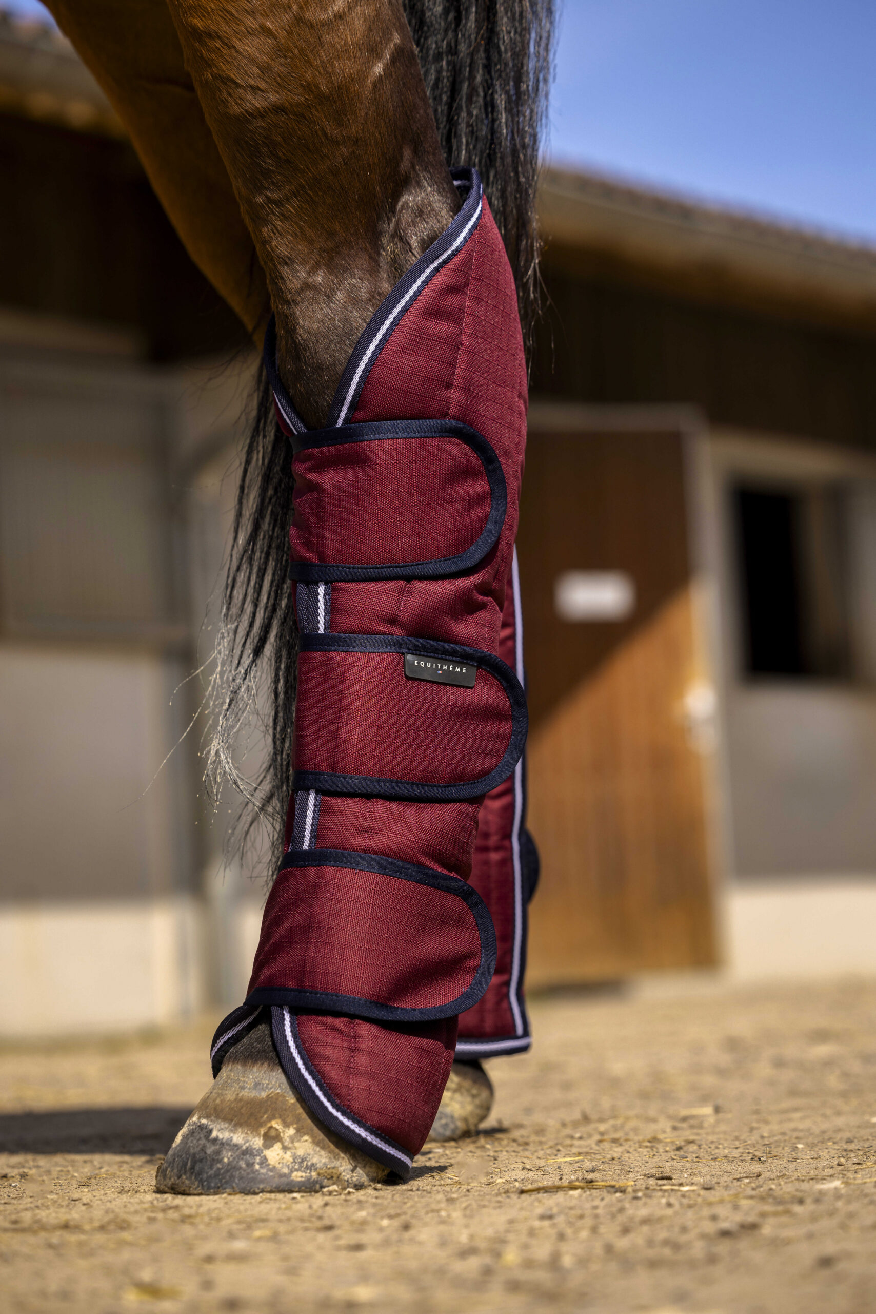 EQUITHÈME - TYREX Aisance 1200D - Transport Boots - Image 3