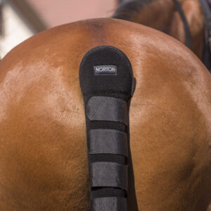 NORTON Tail Guard – High Protection