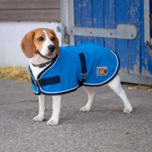 DIEGO & LOUNA "Polyfun" Hundedecke