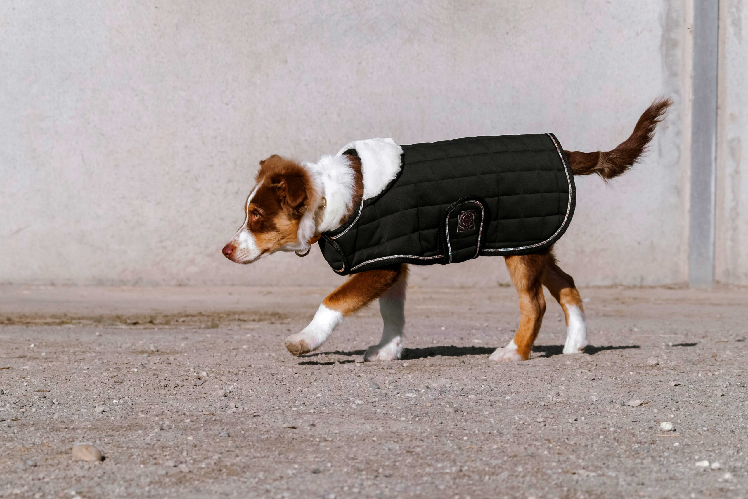 I love you EQUITHÈME Hundedecke - Image 6