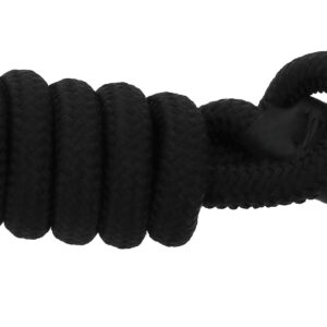 RIDING WORLD - Lucky - Dog leash with handle