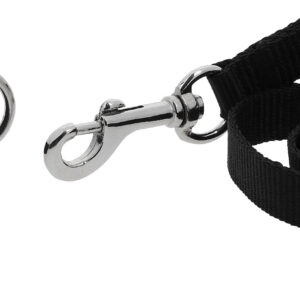 RIDING WORLD - Oscar - Dog collar and leash