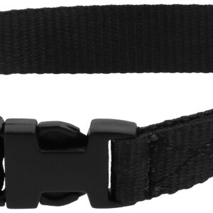 RIDING WORLD - Pat - Dog collar