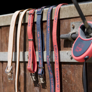 Leather leash DIEGO & LOUNA